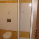Guest house Smetanuv Statek 3*