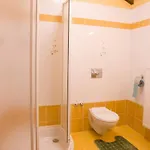 Guest house Smetanuv Statek 3*