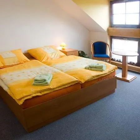 Smetanuv Statek Maison d'hôtes Hradec Králové